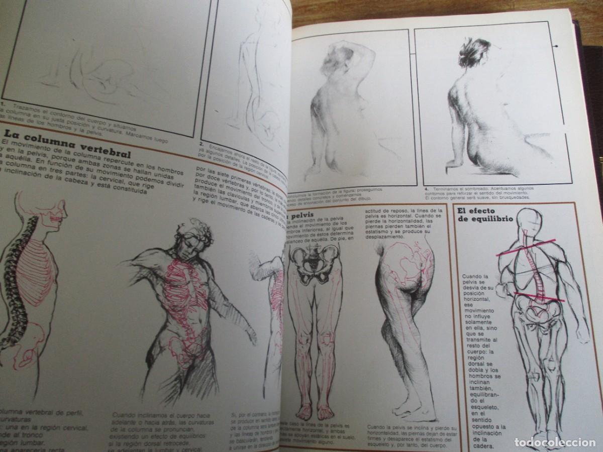 Libros de segunda mano: TALLER DE LAS ARTES (4 tomos) W18743 - Foto 14