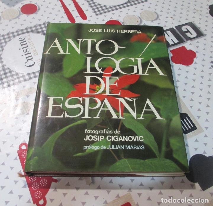 Libros de segunda mano: ANTOLOGIA DE ESPA&Ntilde;A - JOSE LUIS HERRERO - CIRCULO DE LECTORES 1982 - Foto 1