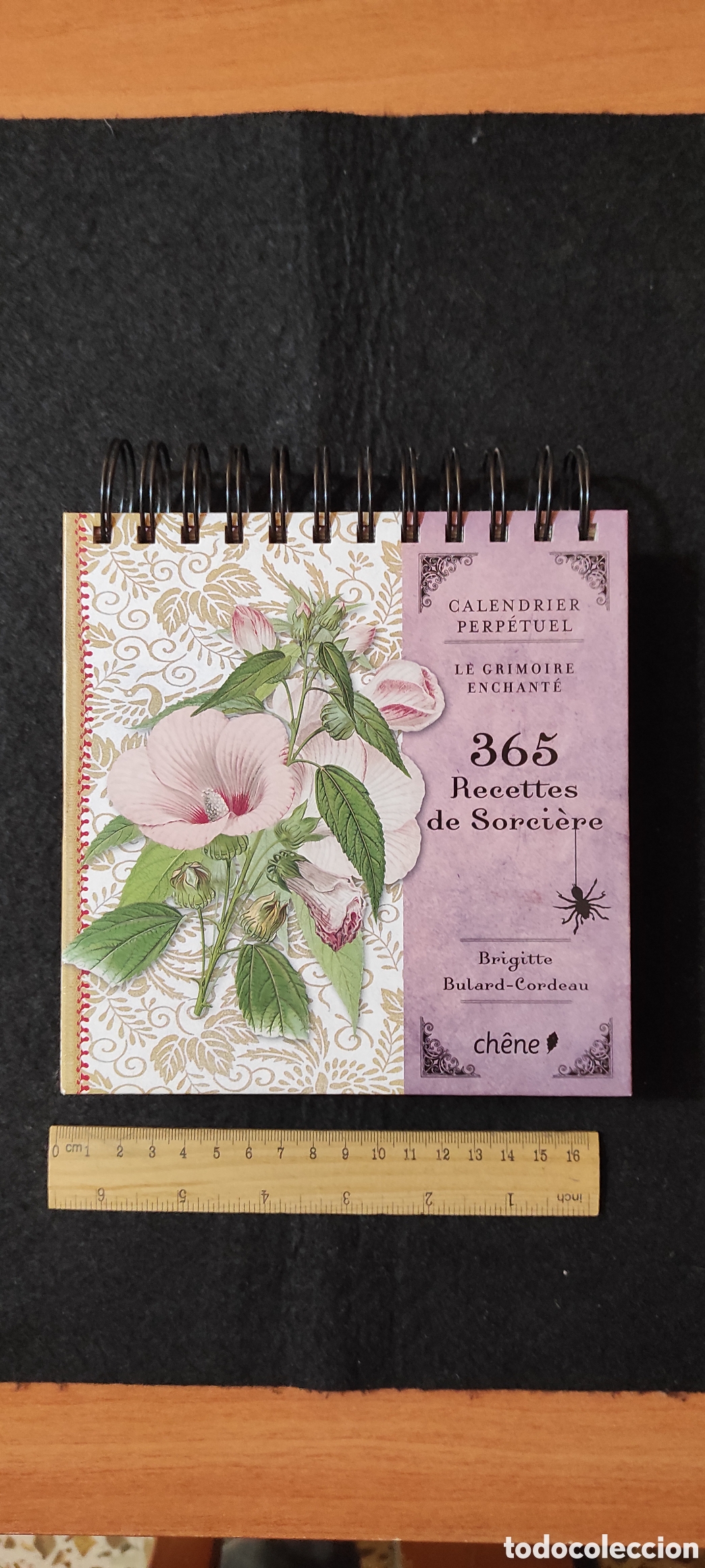 Gebrauchte B&uuml;cher: Calendrier perp&eacute;tuel.Le grimoire enchant&eacute;, 365 recettes de sorciere. Brigitte Bulard - Cordeau