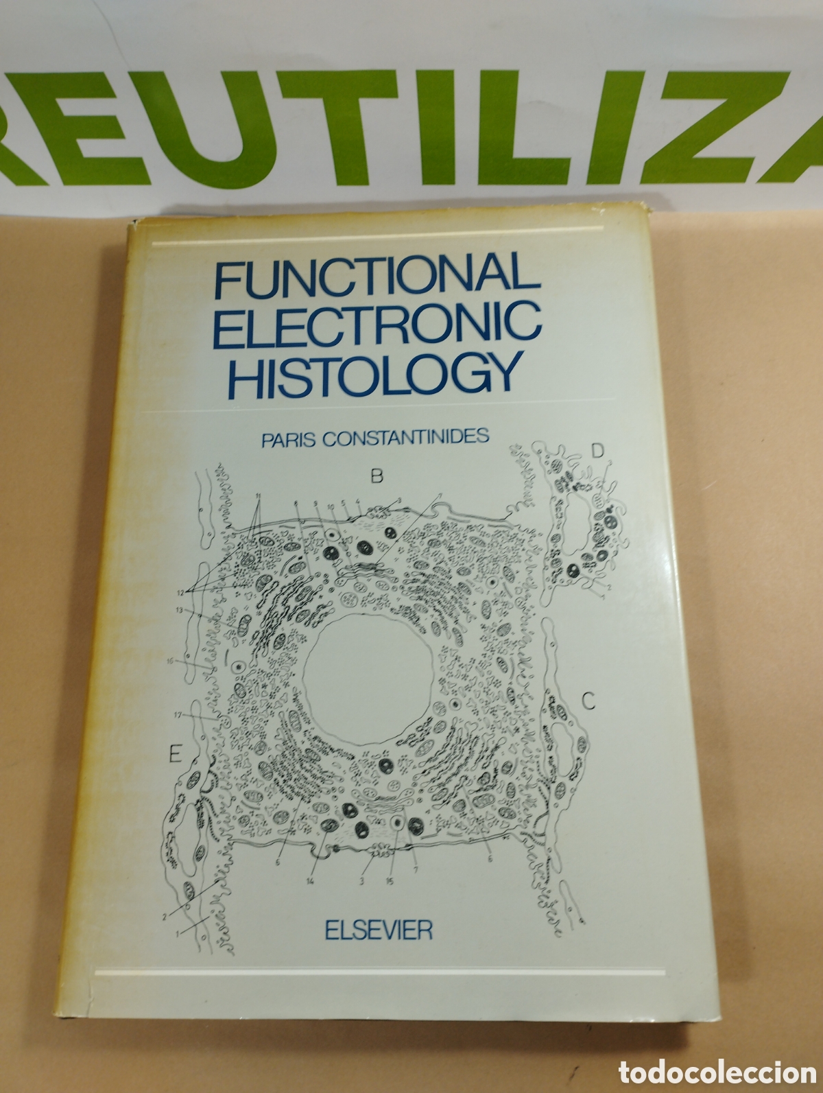 Libros de segunda mano: Funcional electronic histology. Paris constsntinides. Elsevier. - Foto 1
