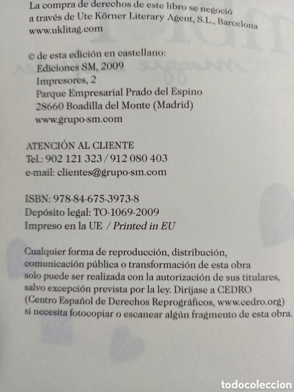 Libros de segunda mano: Temblor - Maggie Stiefvater - Foto 3