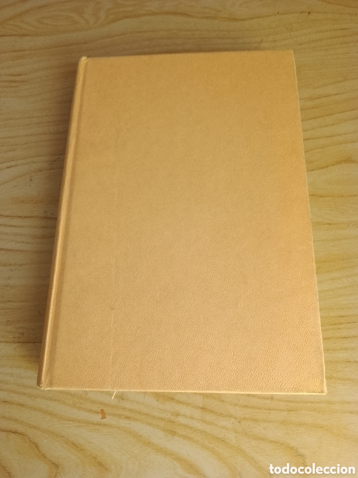 Libros de segunda mano: Llegar&aacute; Tarde A Hendaya. Jos&eacute; Mar&iacute;a Del Val.. - Foto 1