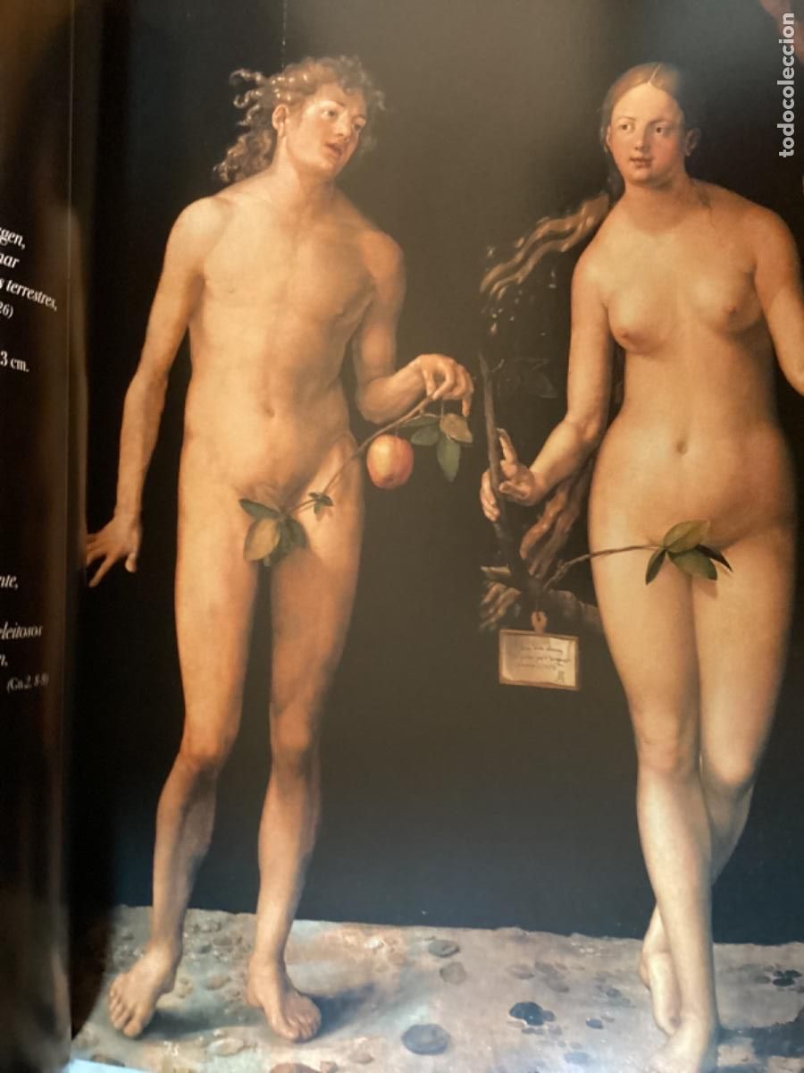 Libros de segunda mano: FMR LA BIBLIA Y LAS ARTES - Foto 9