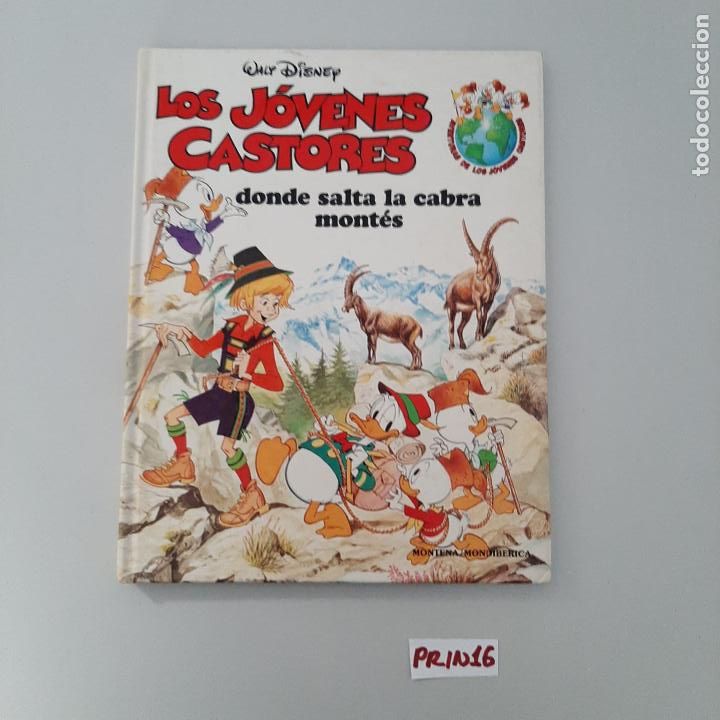 Libros de segunda mano: Los j&oacute;venes castores - Foto 1