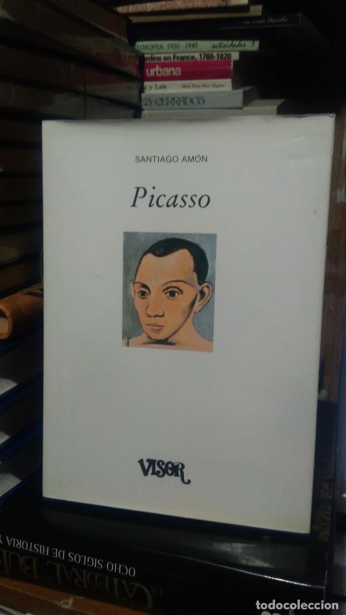 Libros de segunda mano: PICASSO, SANTIAGO AM&Oacute;N, ED. VISOR - Foto 1