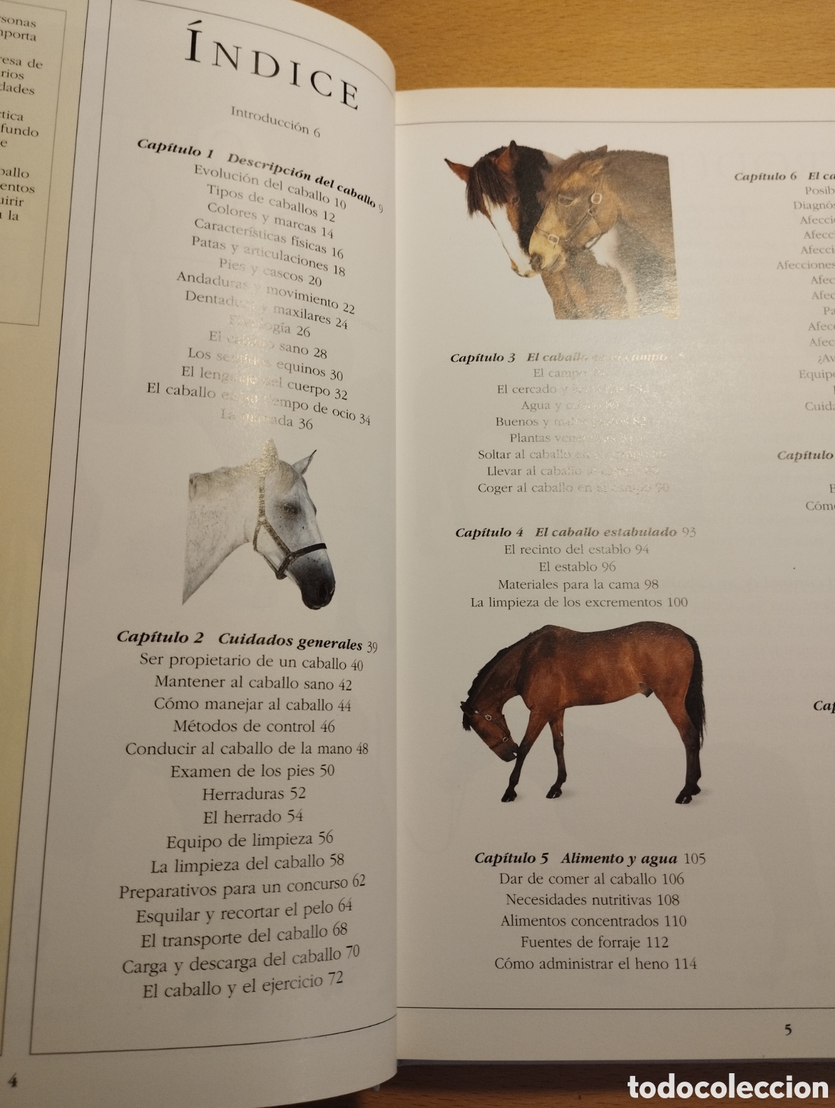 Libros de segunda mano: MANUAL COMPLETO DEL CUIDADO DEL CABALLO (COLIN VOGEL) - Foto 3