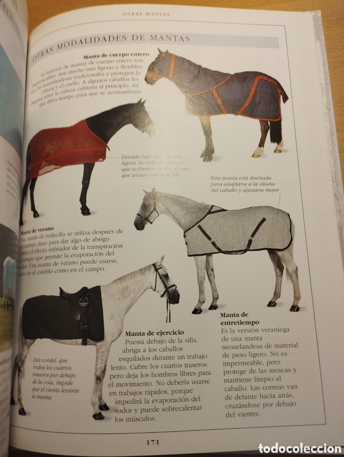 Libros de segunda mano: MANUAL COMPLETO DEL CUIDADO DEL CABALLO (COLIN VOGEL) - Foto 6