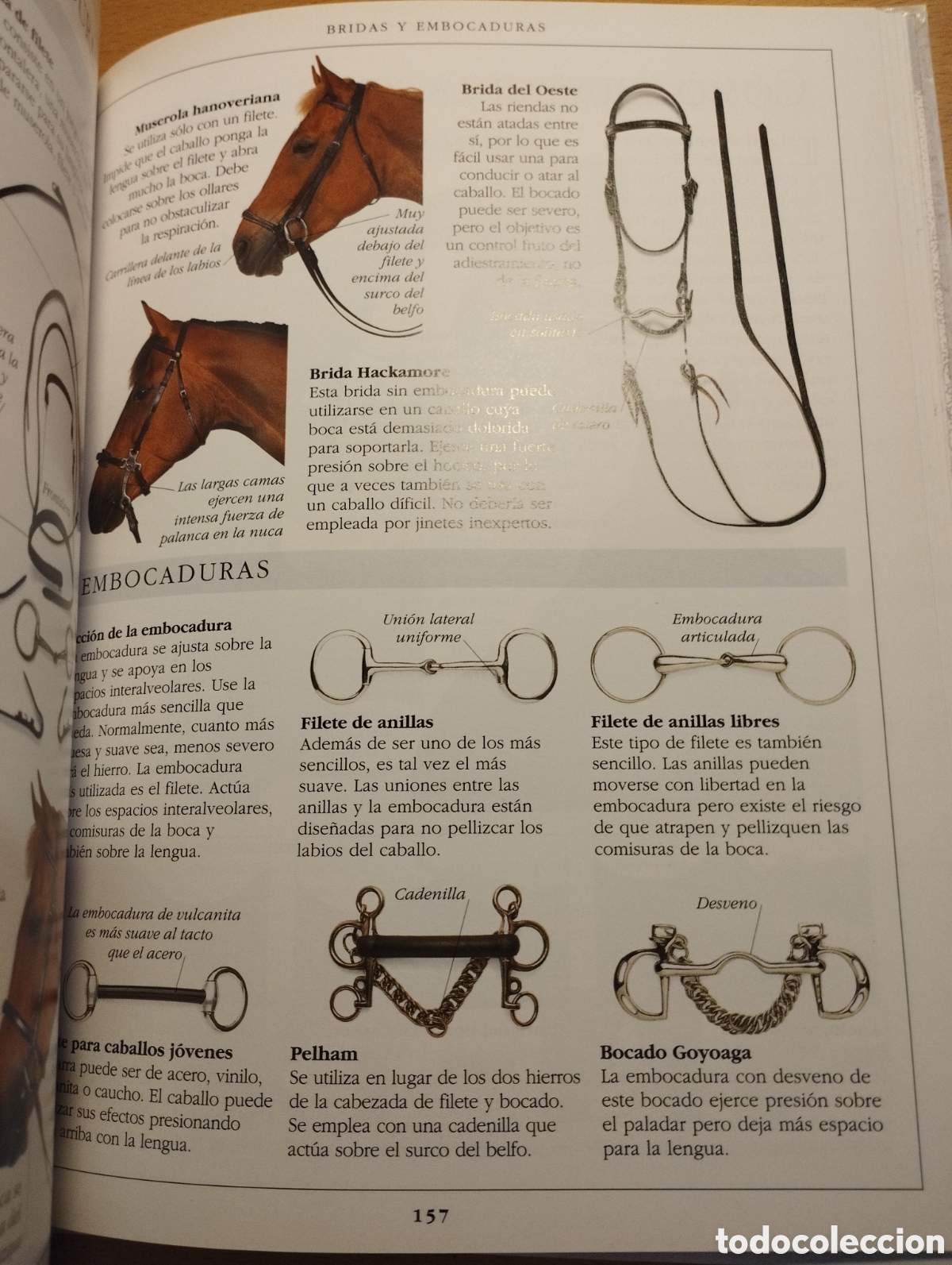Libros de segunda mano: MANUAL COMPLETO DEL CUIDADO DEL CABALLO (COLIN VOGEL) - Foto 7