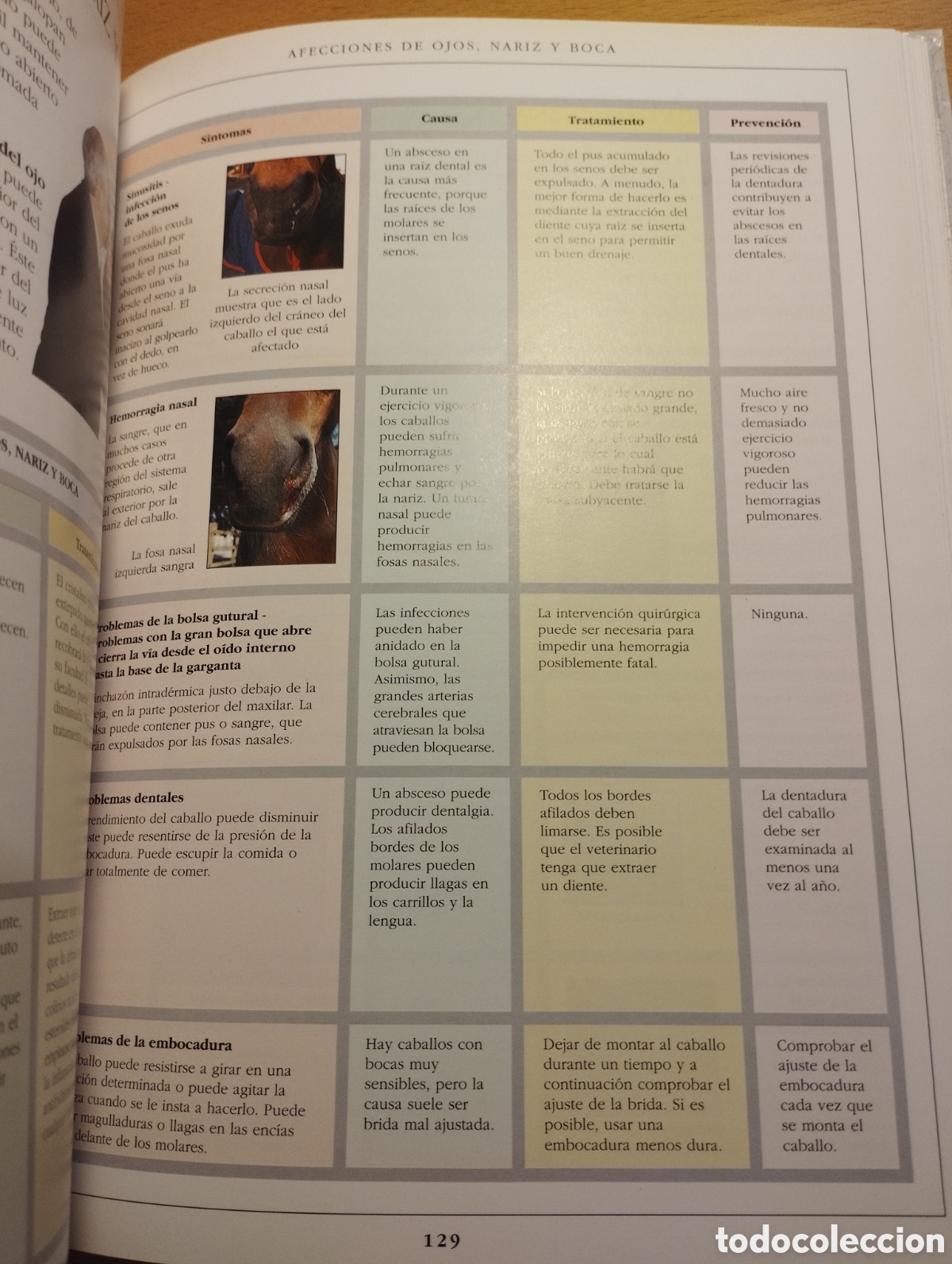 Libros de segunda mano: MANUAL COMPLETO DEL CUIDADO DEL CABALLO (COLIN VOGEL) - Foto 8