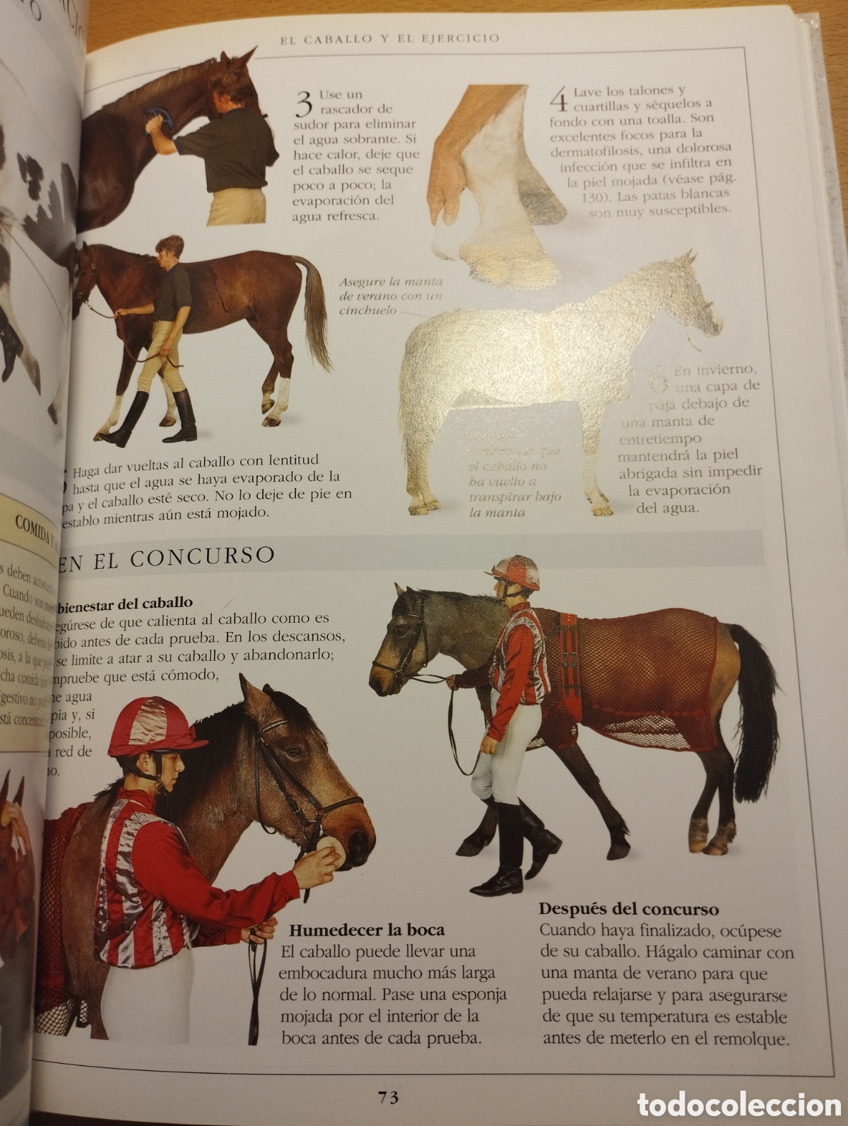Libros de segunda mano: MANUAL COMPLETO DEL CUIDADO DEL CABALLO (COLIN VOGEL) - Foto 10