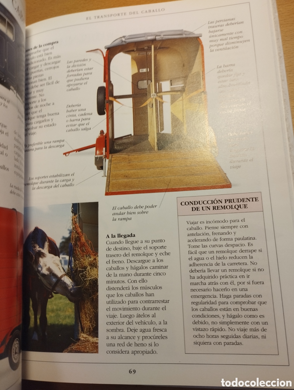 Libros de segunda mano: MANUAL COMPLETO DEL CUIDADO DEL CABALLO (COLIN VOGEL) - Foto 11