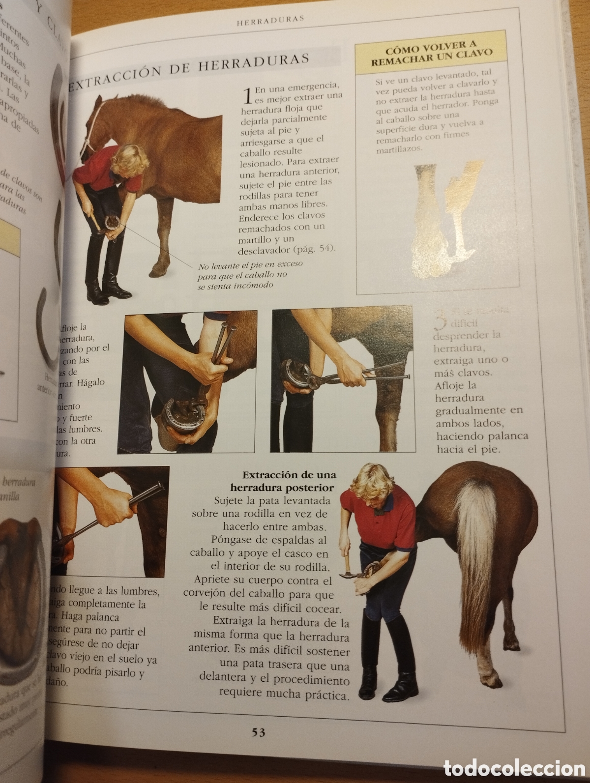 Libros de segunda mano: MANUAL COMPLETO DEL CUIDADO DEL CABALLO (COLIN VOGEL) - Foto 12
