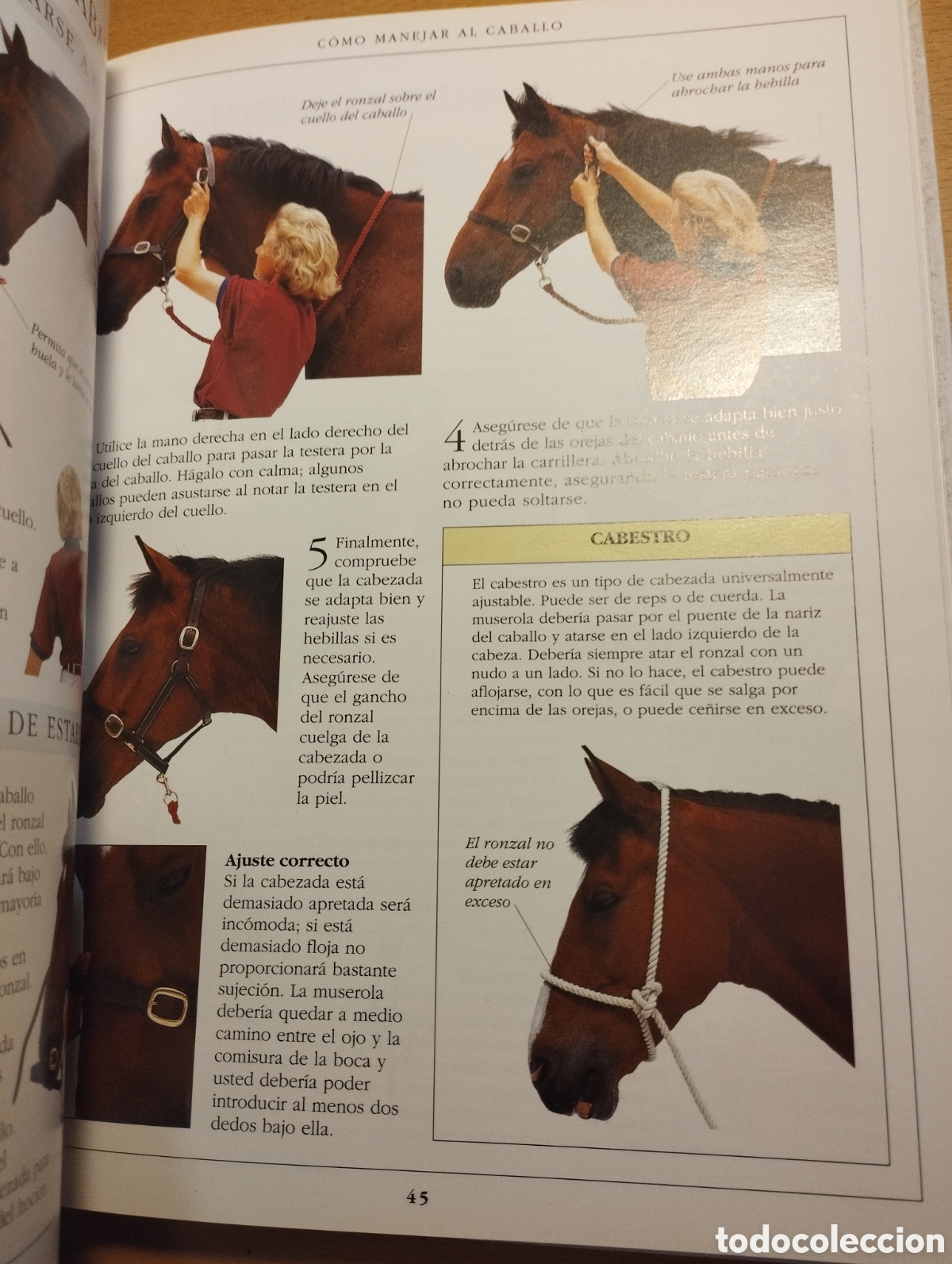 Libros de segunda mano: MANUAL COMPLETO DEL CUIDADO DEL CABALLO (COLIN VOGEL) - Foto 13