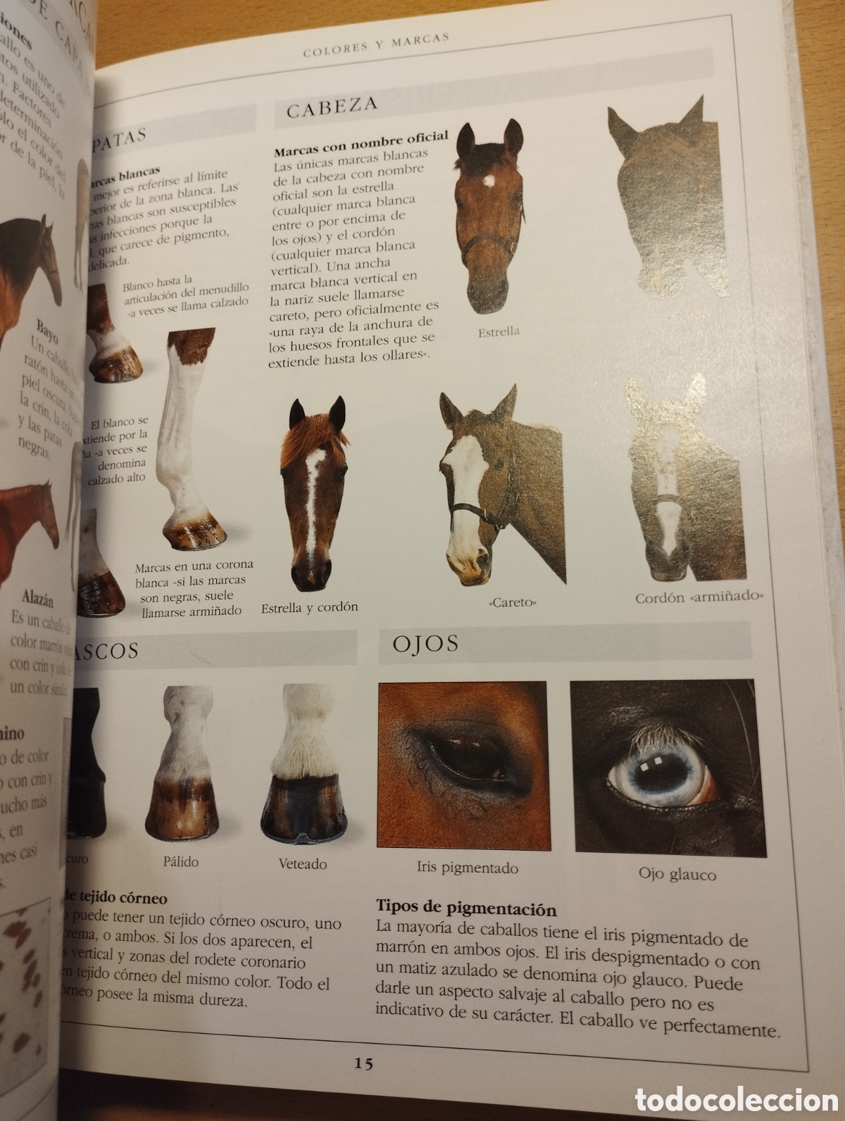 Libros de segunda mano: MANUAL COMPLETO DEL CUIDADO DEL CABALLO (COLIN VOGEL) - Foto 17