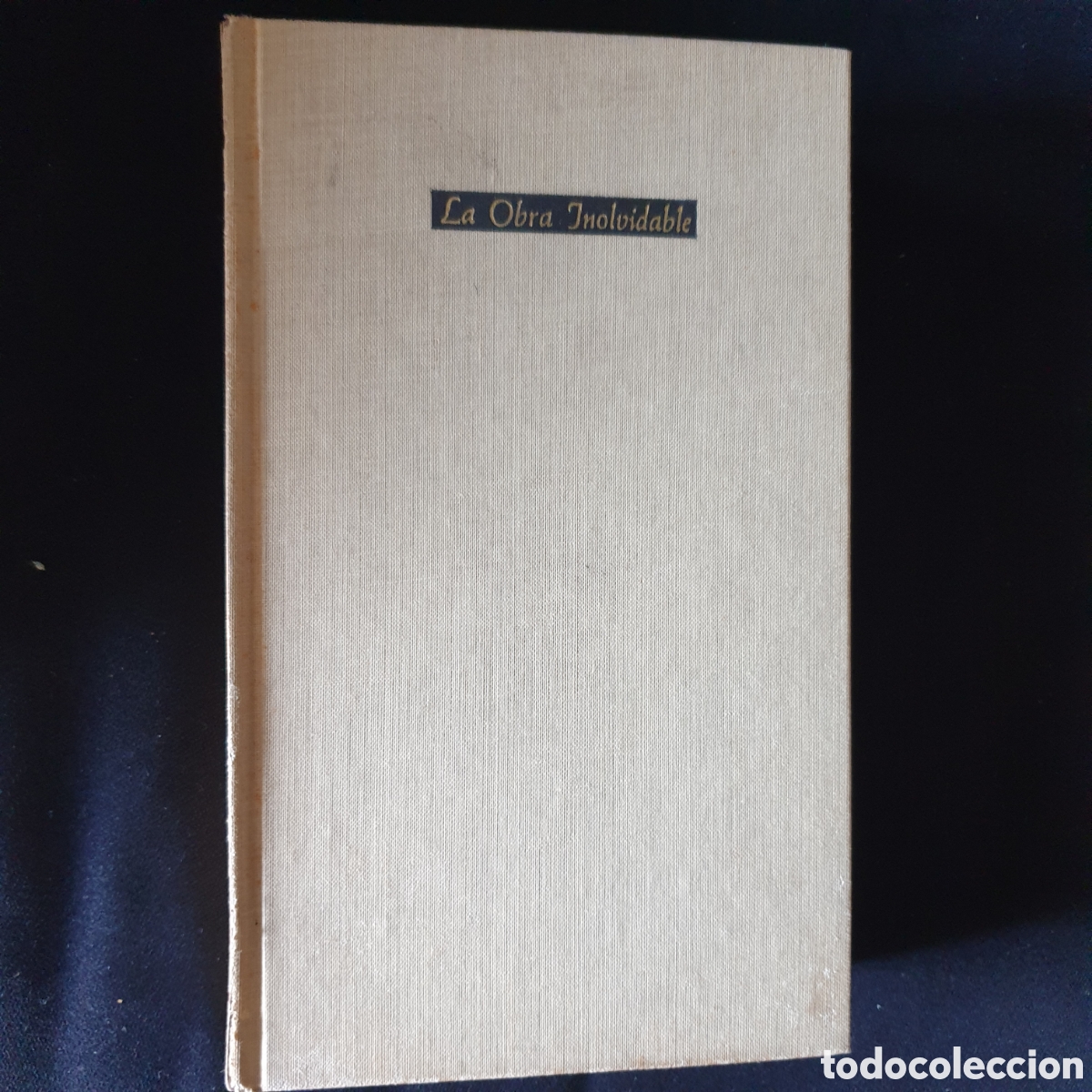 Libros de segunda mano: Gora: Una juventud en la India, de Rabindranath Tagore - Foto 1