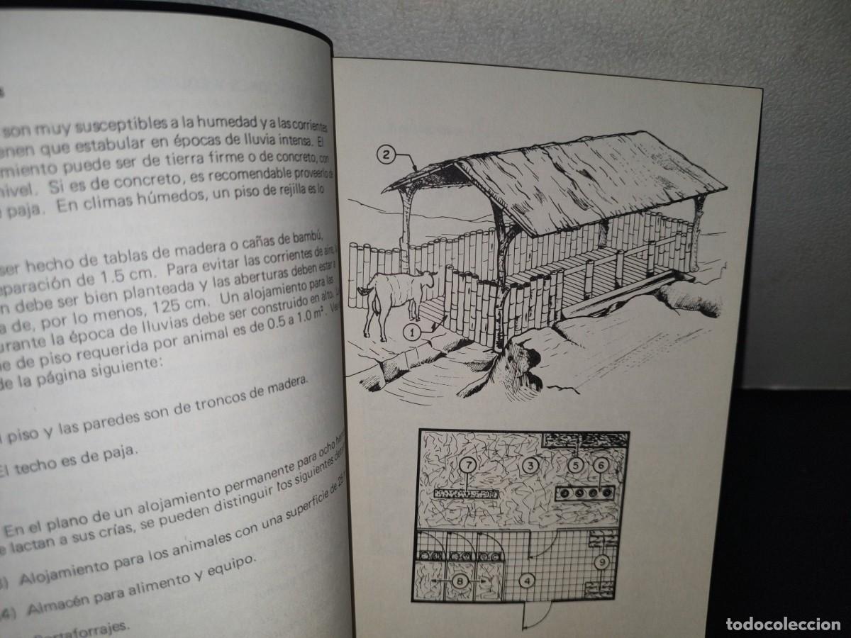 Libros de segunda mano: 70- MANUALES PARA EDUCACI&Oacute;N AGROPECUARIA. CABRAS - Foto 7