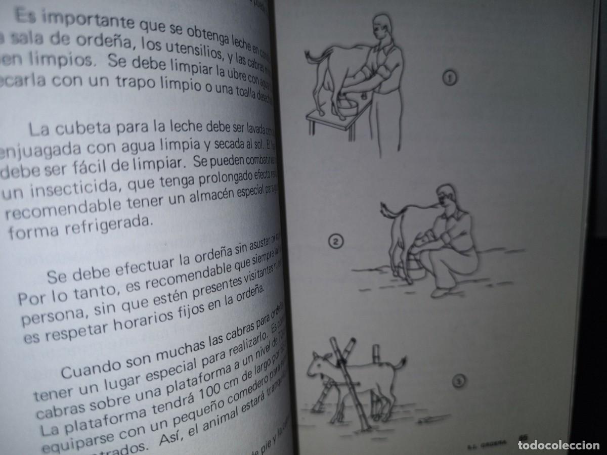 Libros de segunda mano: 70- MANUALES PARA EDUCACI&Oacute;N AGROPECUARIA. CABRAS - Foto 9