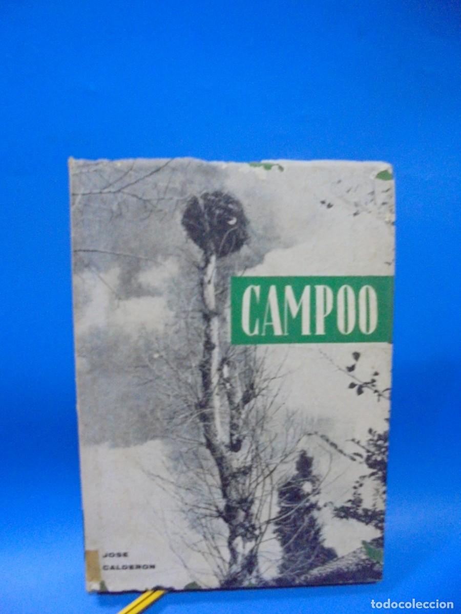 Libros de segunda mano: CAMPOO. JOSE CALDERON ESCALADA. 1971. PAGS : 235. - Foto 1