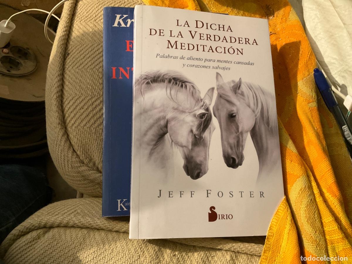 Libros de segunda mano: DICHA DE LA VERDADERA MEDITACION, LA - FOSTER, JEFF - Foto 1