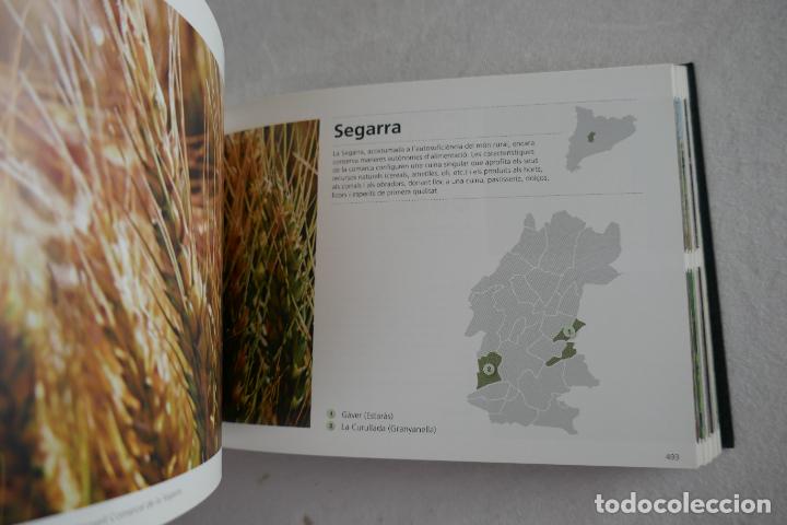 Libros de segunda mano: LIBRO - COMPRA A PAG&Eacute;S - Foto 7