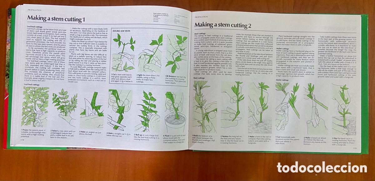 Libros de segunda mano: GARDENING TECHNIQUES - STEP-BY-STEP. THE ROYAL HORTICULTURAL SOCIETYS - CHRISTOPHER BRICKELL 1993 - Foto 4
