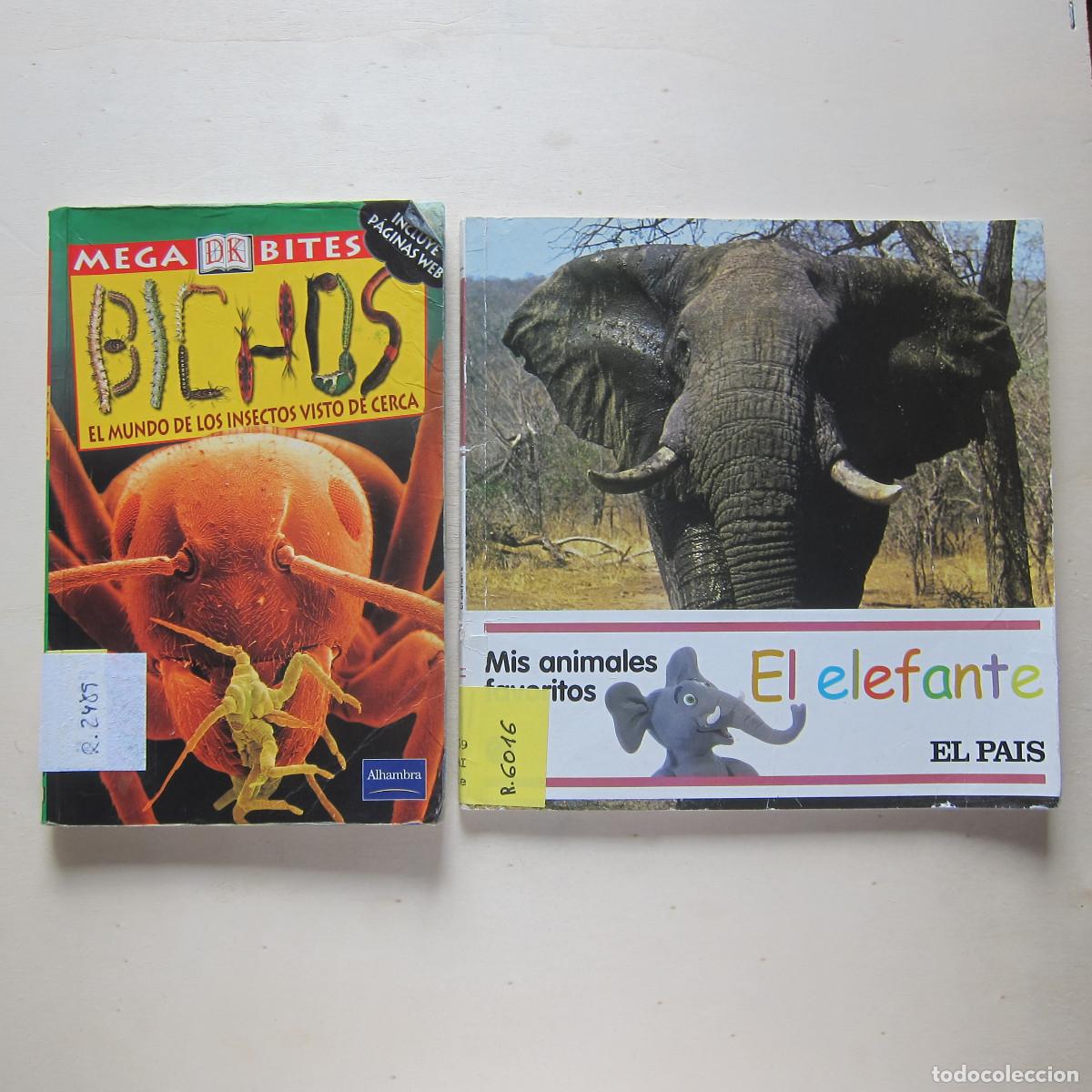 Libros de segunda mano: PACK ANIMALES - BICHOS / EL ELEFANTE. 2 LIBROS. INFANTIL - Foto 1