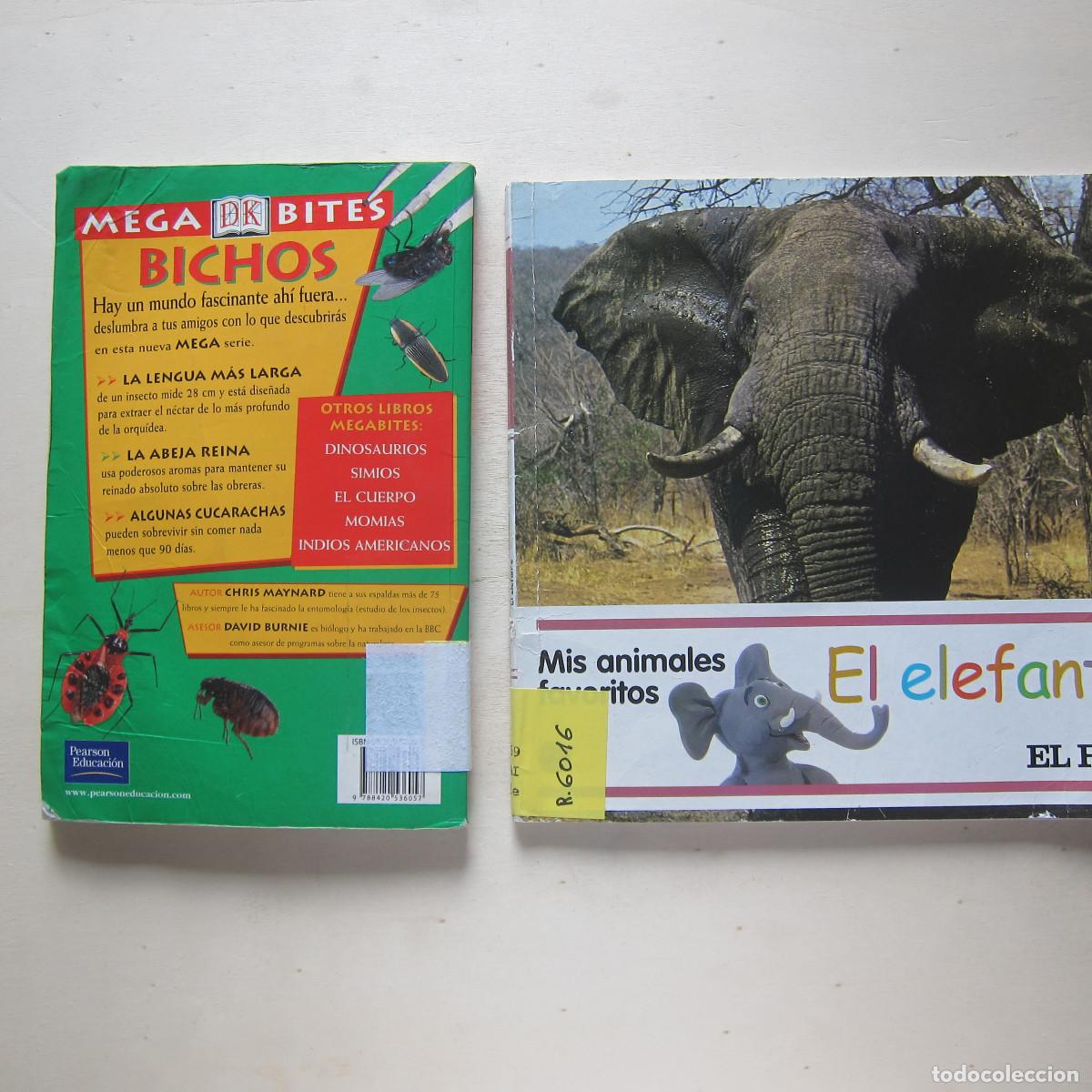 Libros de segunda mano: PACK ANIMALES - BICHOS / EL ELEFANTE. 2 LIBROS. INFANTIL - Foto 2
