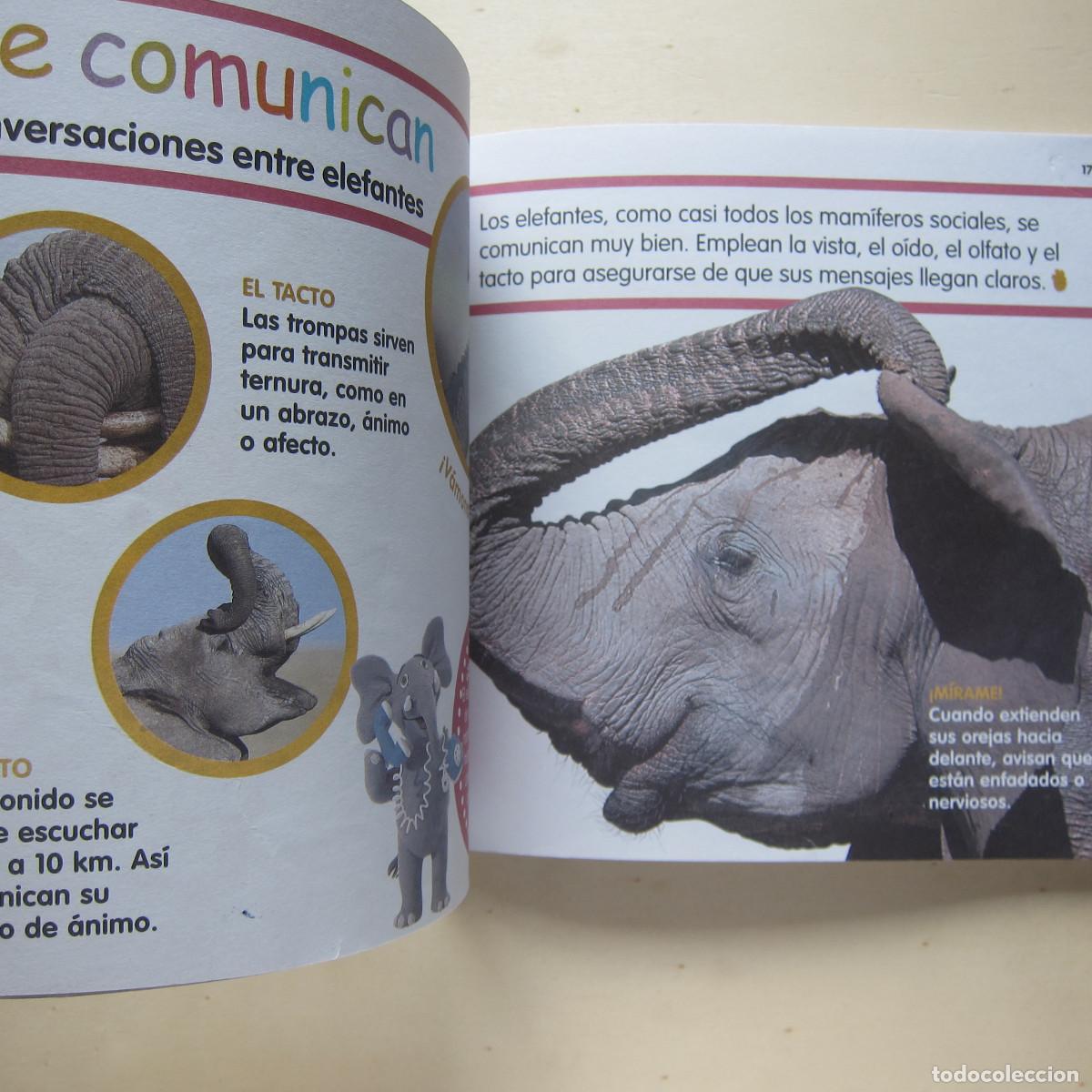 Libros de segunda mano: PACK ANIMALES - BICHOS / EL ELEFANTE. 2 LIBROS. INFANTIL - Foto 3