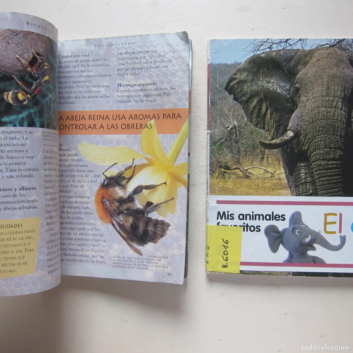 Libros de segunda mano: PACK ANIMALES - BICHOS / EL ELEFANTE. 2 LIBROS. INFANTIL - Foto 4