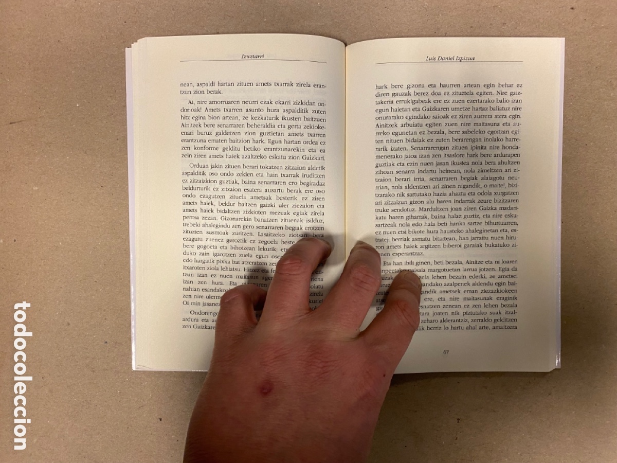 Libros de segunda mano: IZUZTARRI. LUIS DANIEL IZPIZUA. HIRI LIBURUAK 2003. EUSKARAZ. - Foto 4