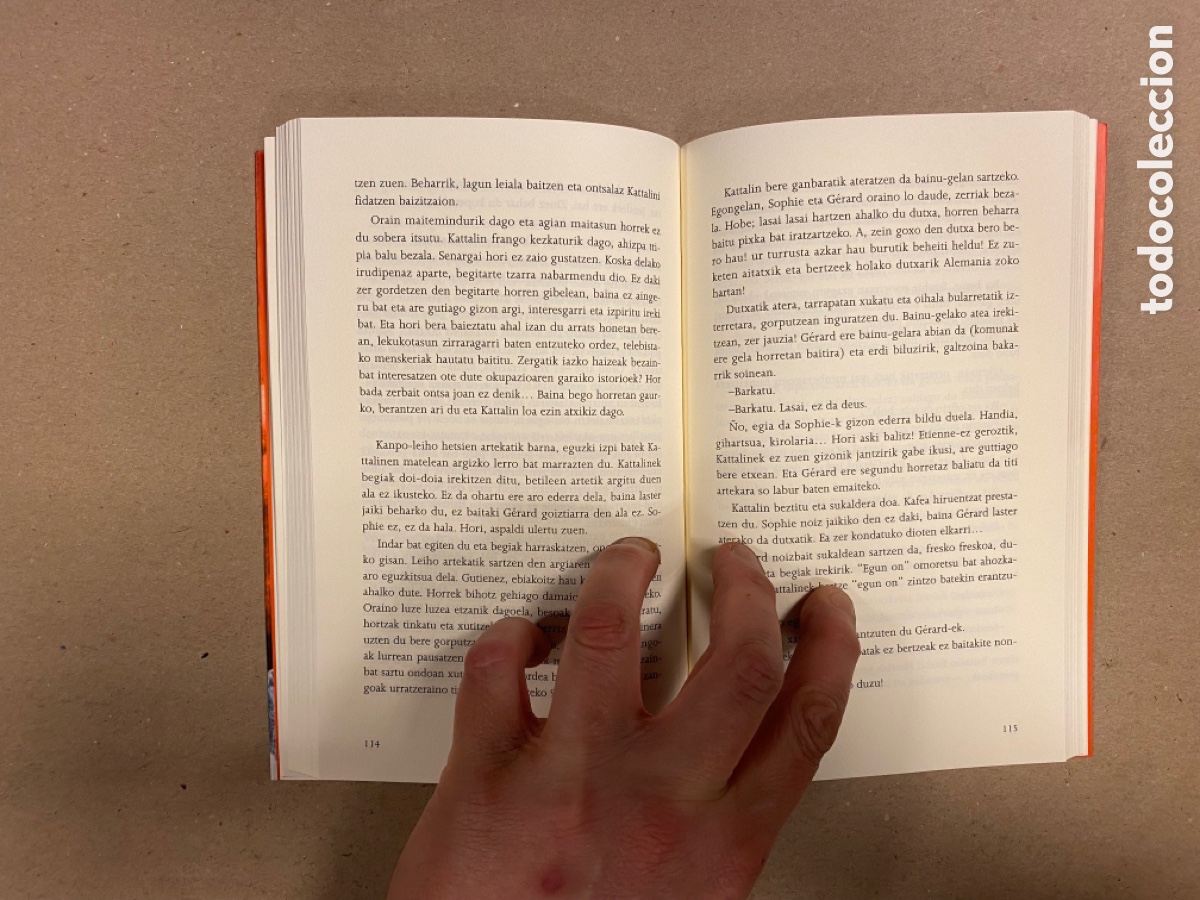 Libros de segunda mano: AMBROXIO. ENEKO BIDEGAIN. ELKAR ARGITALETXEA 2002. EUSKARAZ. - Foto 4