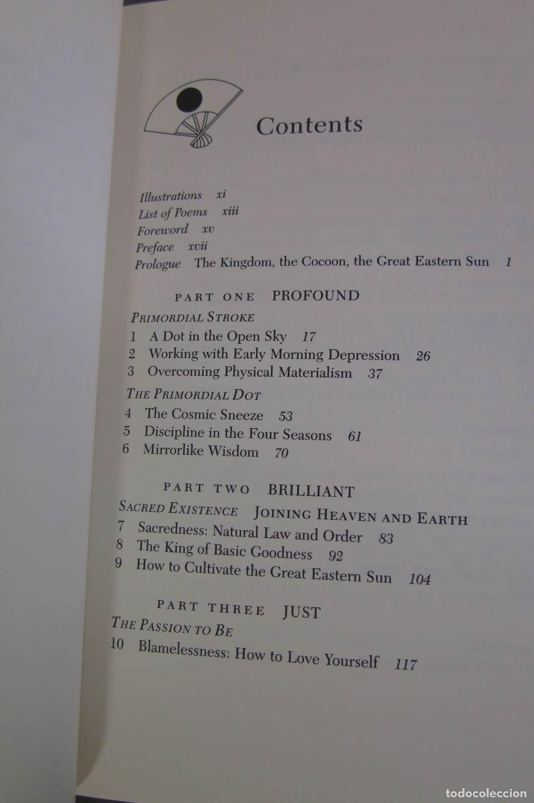 Libros de segunda mano: Great Eastern Sun. Chogyam Trungpa - Foto 2