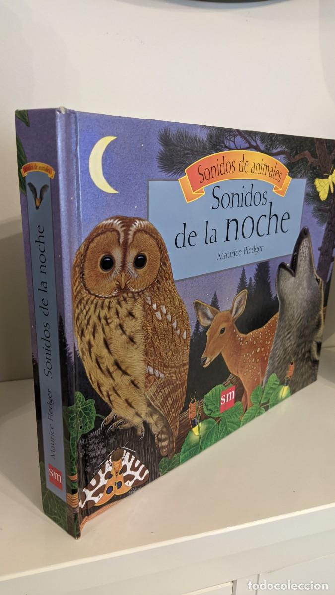 Libros de segunda mano: SONIDOS DE LA NOCHE MAURICE PLEDGER SM - Foto 1
