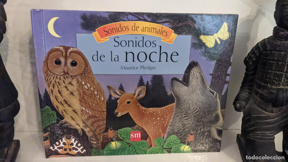 Libros de segunda mano: SONIDOS DE LA NOCHE MAURICE PLEDGER SM - Foto 2