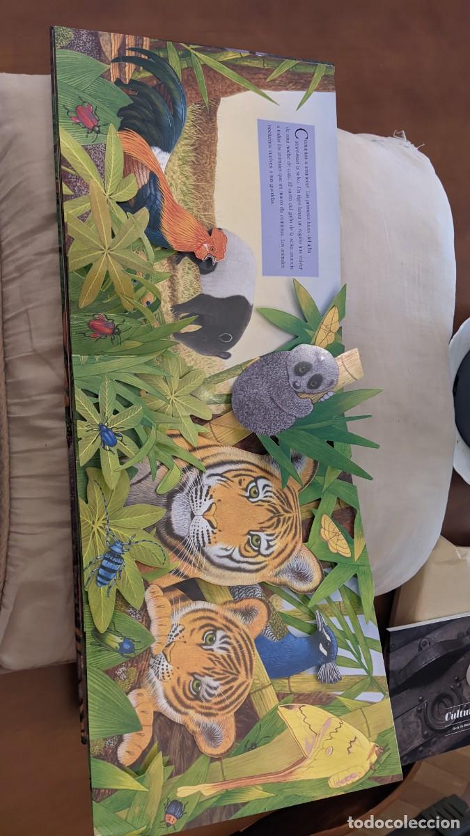 Libros de segunda mano: SONIDOS DE LA NOCHE MAURICE PLEDGER SM - Foto 7