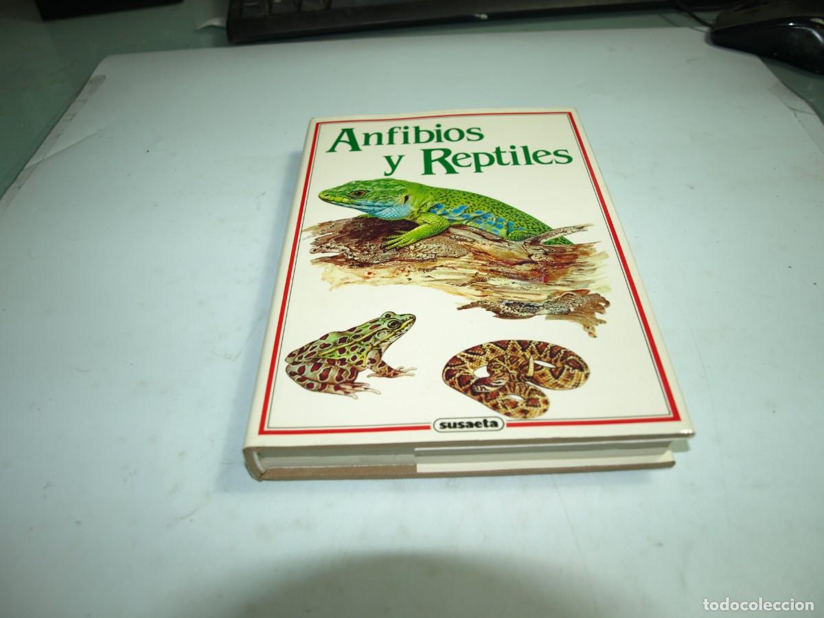 Libros de segunda mano: Anfibios y reptiles, Susaeta - Foto 1