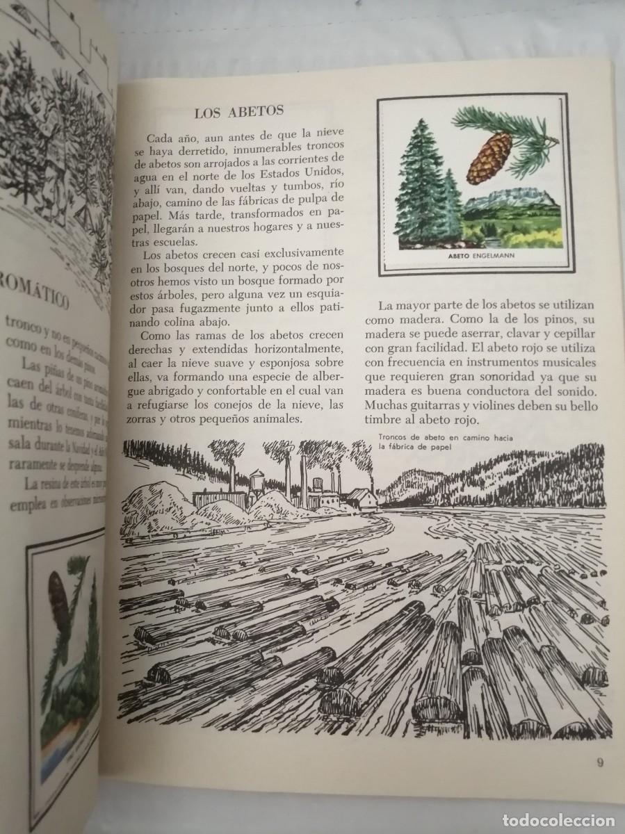 Libros de segunda mano: &Aacute;rboles. Un libro de oro de estampas. N 46 (Completo, con los 48 Cromos) - Foto 5