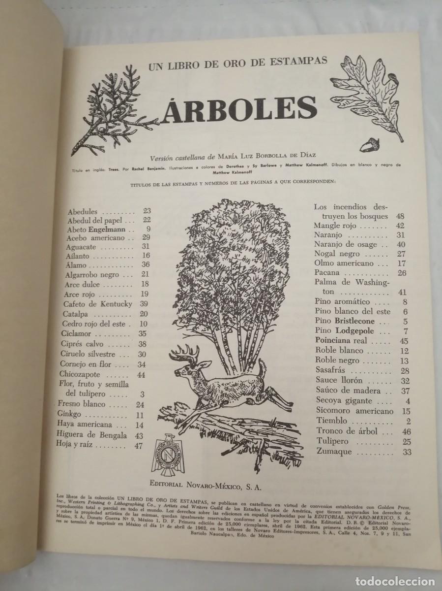 Libros de segunda mano: &Aacute;rboles. Un libro de oro de estampas. N 46 (Completo, con los 48 Cromos) - Foto 3