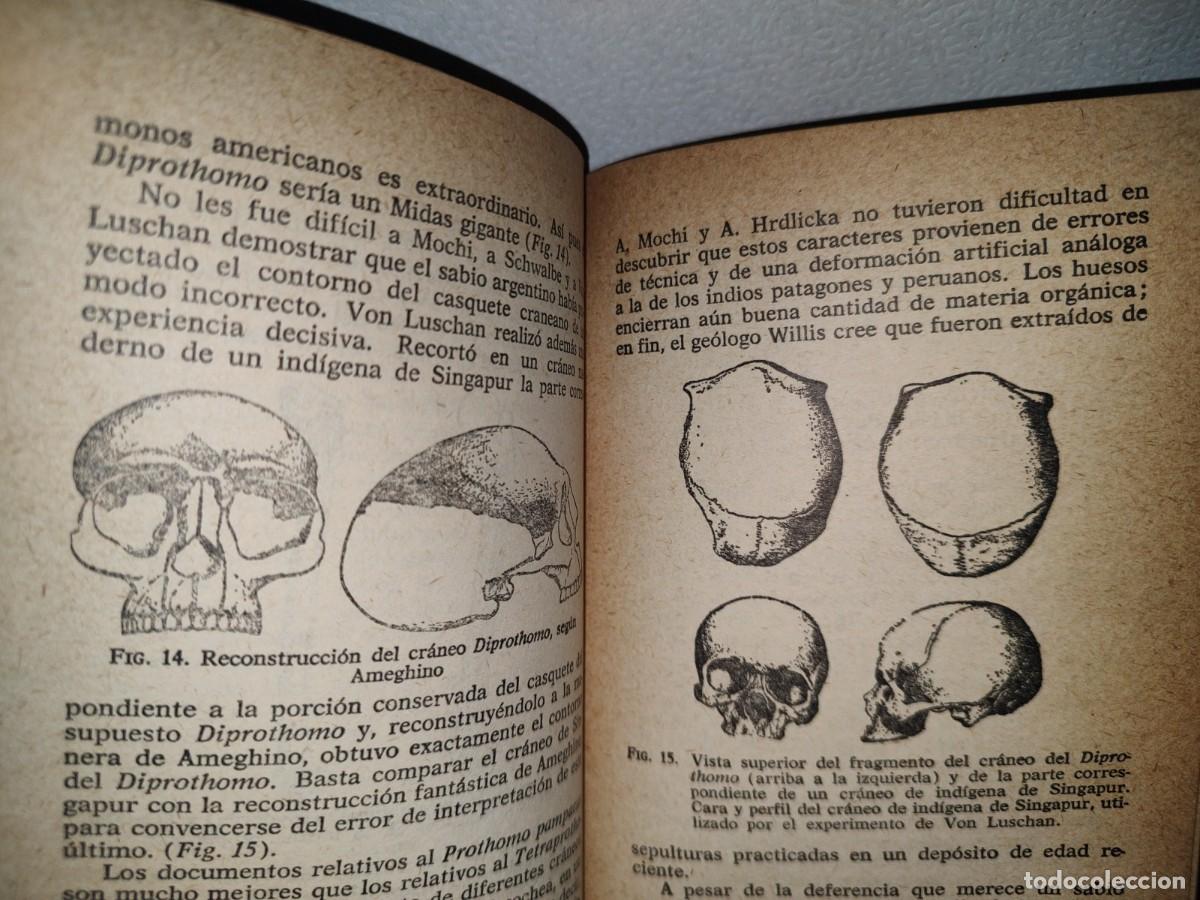 Libros de segunda mano: 71- LOS OR&Iacute;GENES DEL HOMBRE AMERICANO - PAUL RIVET - 1966 - Foto 6