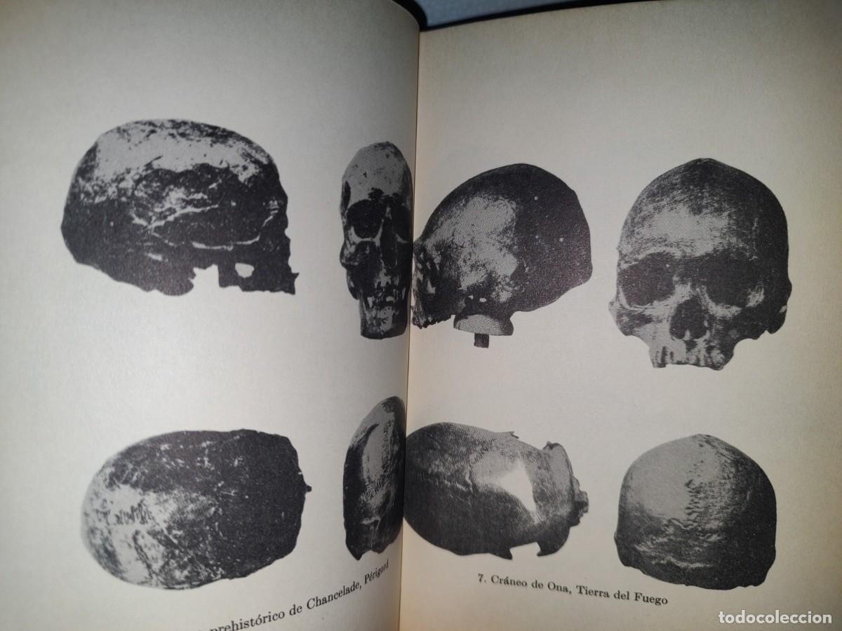 Libros de segunda mano: 71- LOS OR&Iacute;GENES DEL HOMBRE AMERICANO - PAUL RIVET - 1966 - Foto 8
