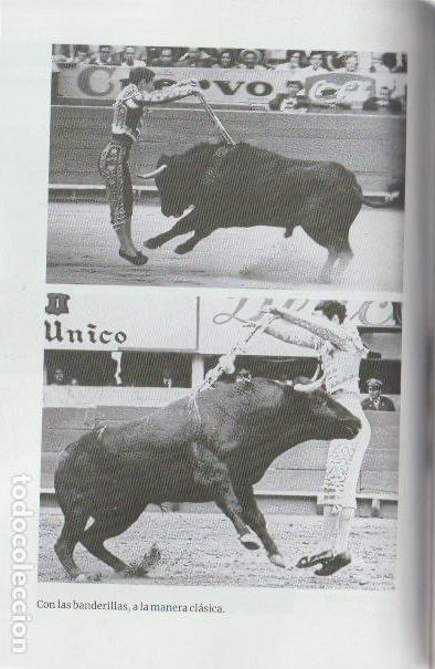 Libros de segunda mano: * TOROS Y TOREROS * Capas de olvido / Robert Ryan; pr&oacute;logo de Jos&eacute; Tom&aacute;s - Foto 6