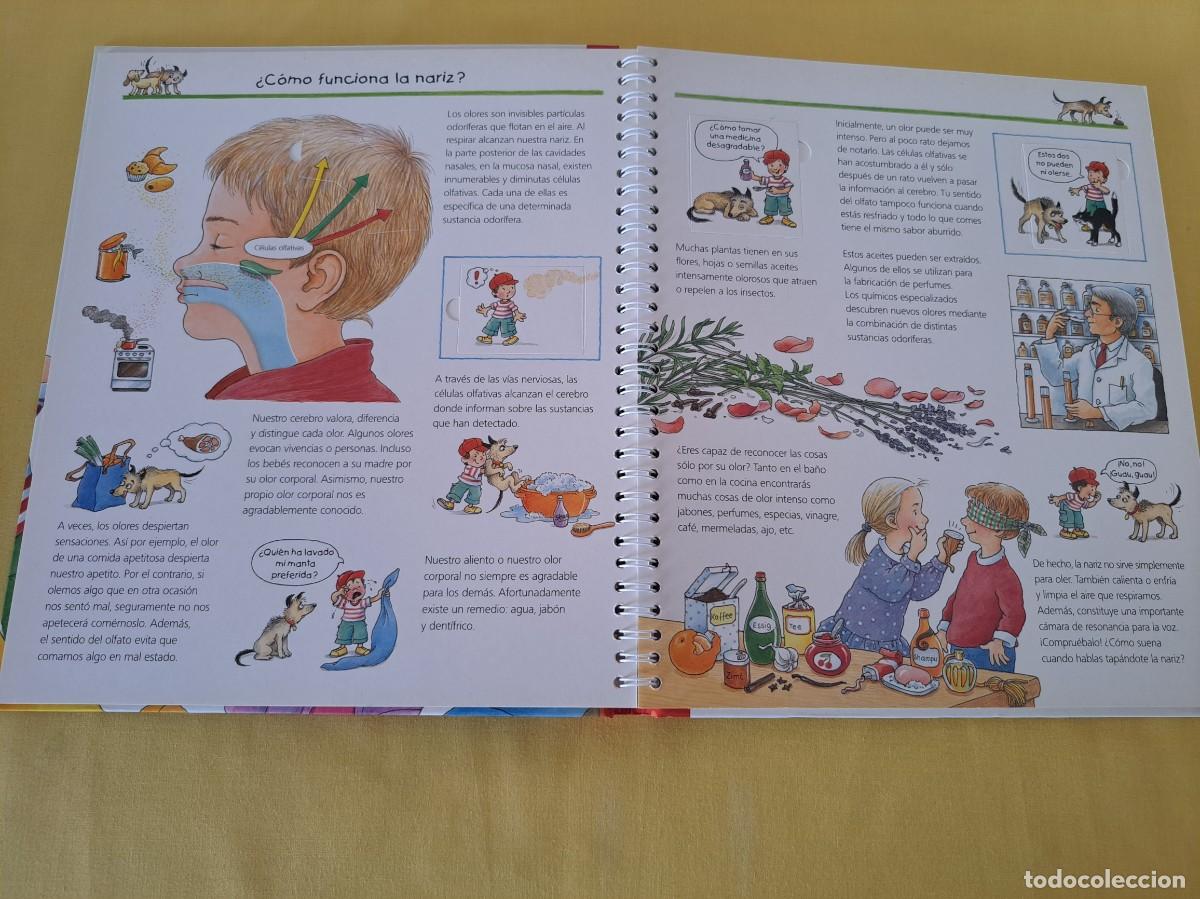 Libros de segunda mano: DESCUBRAMOS LOS SENTIDOS (COLECCION &iquest;QUE? &iquest;COMO? &iquest;POR QUE?) - ELFOS EDICIONES 2007 - Foto 3