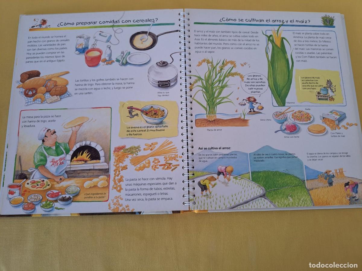 Libros de segunda mano: NUESTROS ALIMENTOS (COLECCION &iquest;QUE? &iquest;COMO? &iquest;POR QUE?) - ELFOS EDICIONES 2004 - Foto 3