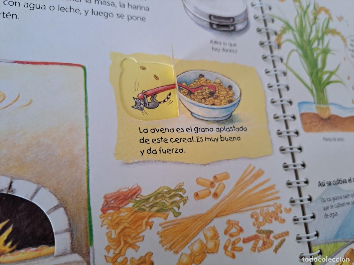 Libros de segunda mano: NUESTROS ALIMENTOS (COLECCION &iquest;QUE? &iquest;COMO? &iquest;POR QUE?) - ELFOS EDICIONES 2004 - Foto 4