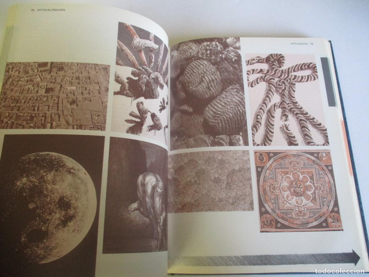 Libros de segunda mano: DENIS POSTLE El universo de la mente W19217 - Foto 7