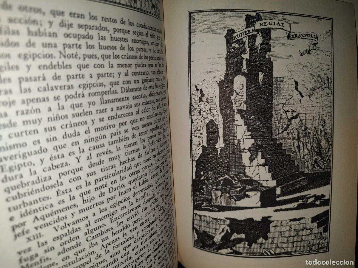 Libros de segunda mano: 23- Obras Selectas De Her&oacute;doto - Editorial Del Valle De M&eacute;xico, S. A., 1979 - Foto 8