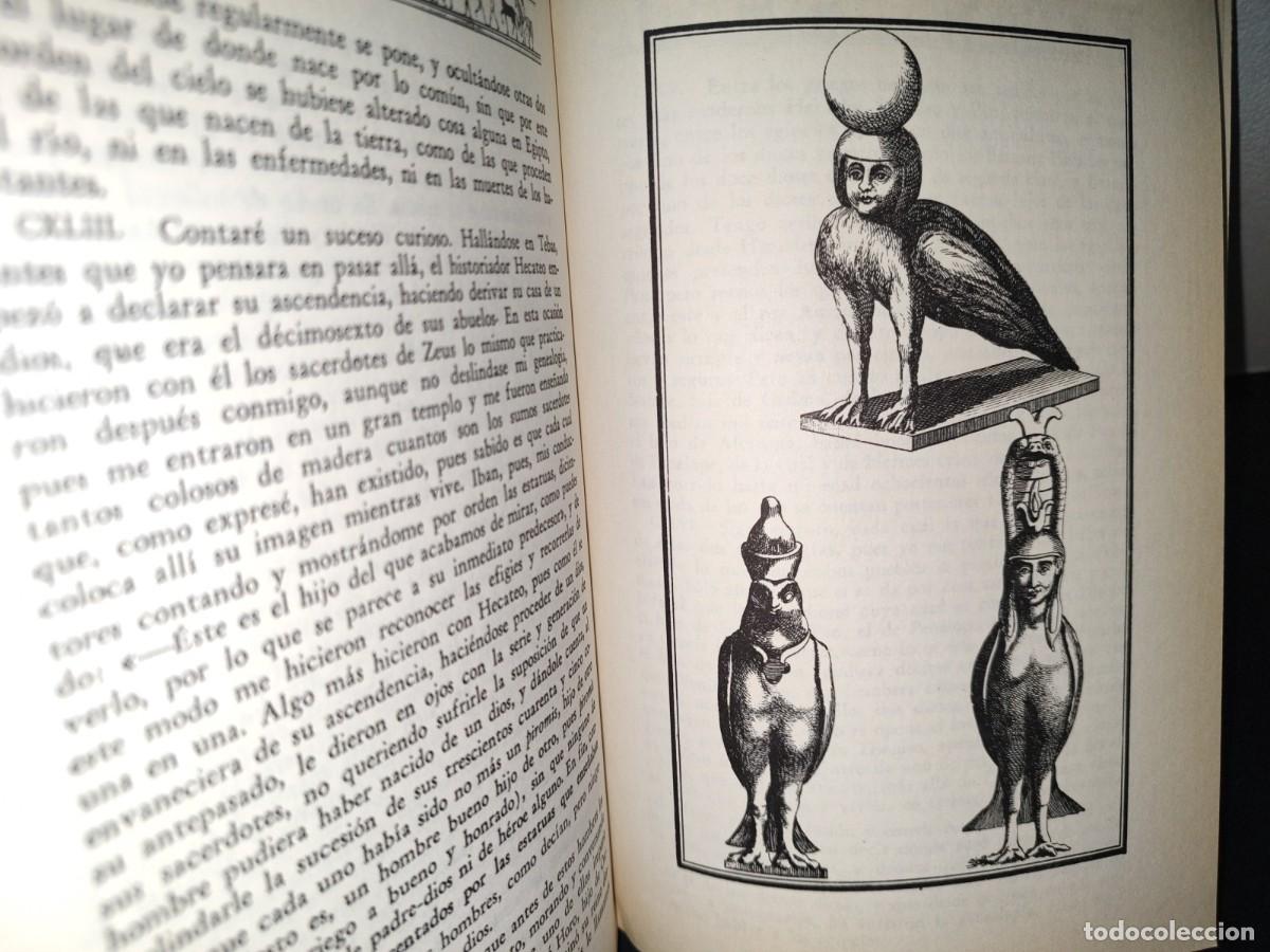Libros de segunda mano: 23- Obras Selectas De Her&oacute;doto - Editorial Del Valle De M&eacute;xico, S. A., 1979 - Foto 9