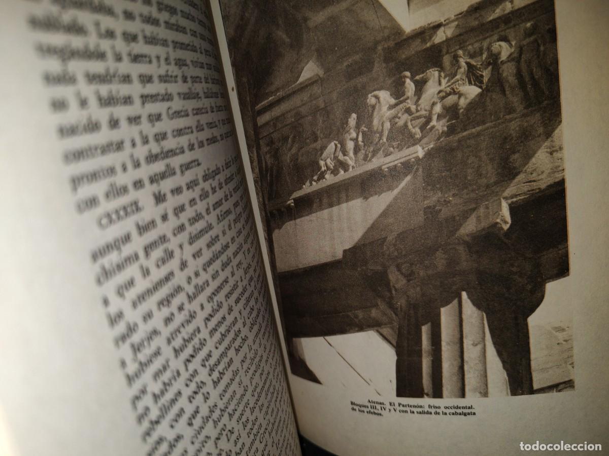 Libros de segunda mano: 23- Obras Selectas De Her&oacute;doto - Editorial Del Valle De M&eacute;xico, S. A., 1979 - Foto 16