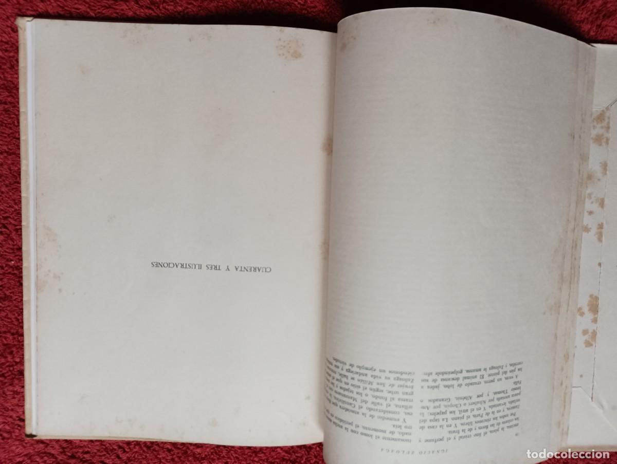 Libros de segunda mano: ZULOAGA - IGNACIO BERYES - Foto 7