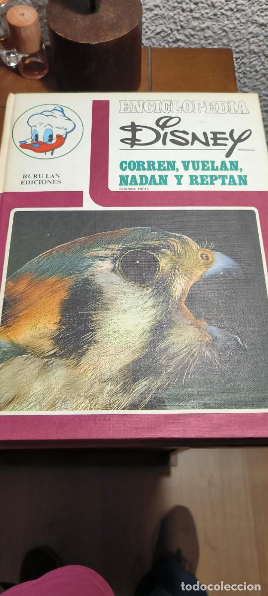 Libros de segunda mano: Enciclopedia Disney Completa 15 TOMOS Burulan Ediciones - Foto 14